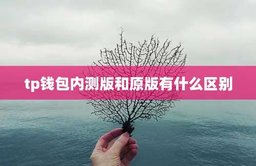 tp钱包内测版和原版有什么区别