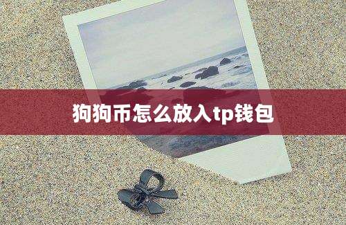 狗狗币怎么放入tp钱包