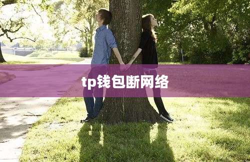 tp钱包断网络