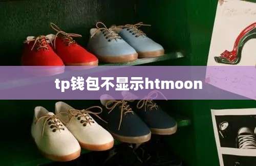 tp钱包不显示htmoon