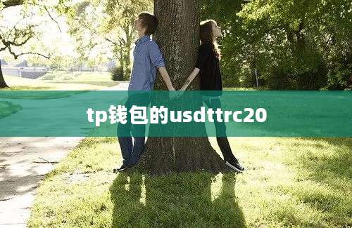 tp钱包的usdttrc20