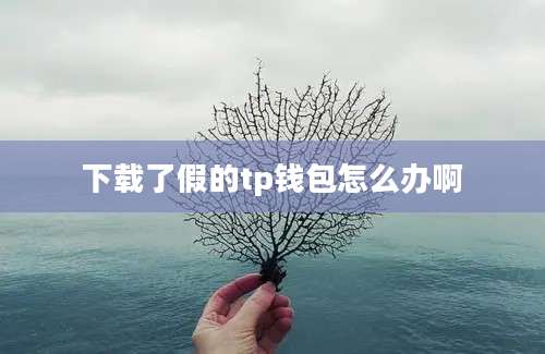 下载了假的tp钱包怎么办啊