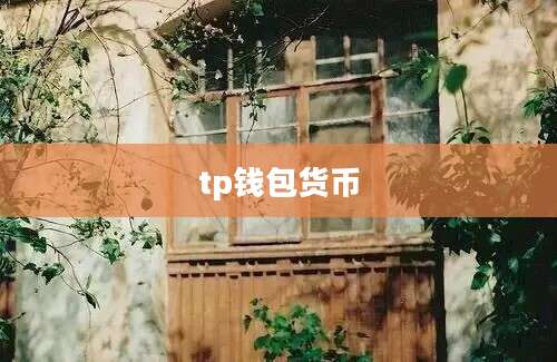 tp钱包货币