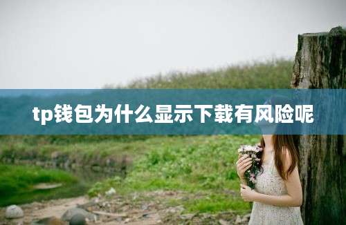 tp钱包为什么显示下载有风险呢