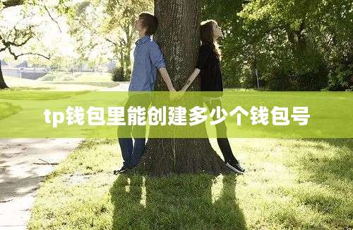tp钱包里能创建多少个钱包号