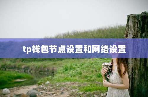 tp钱包节点设置和网络设置
