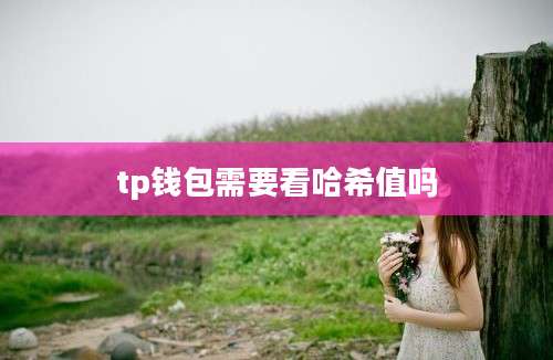 tp钱包需要看哈希值吗
