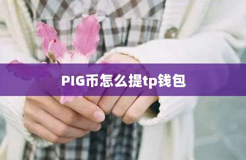 PIG币怎么提tp钱包
