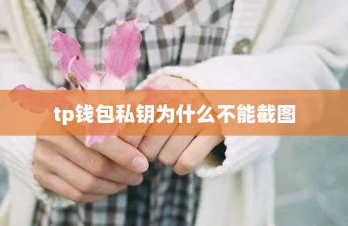 tp钱包私钥为什么不能截图
