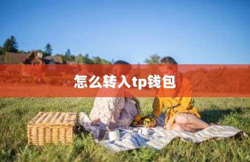 怎么转入tp钱包