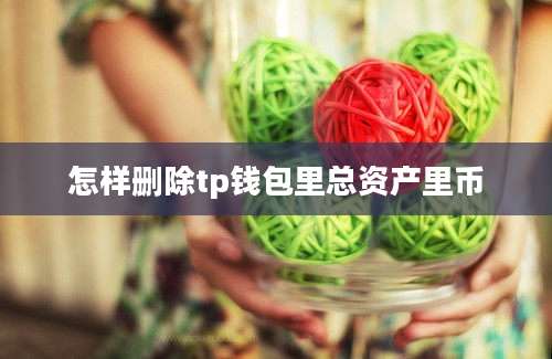怎样删除tp钱包里总资产里币