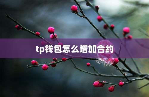 tp钱包怎么增加合约
