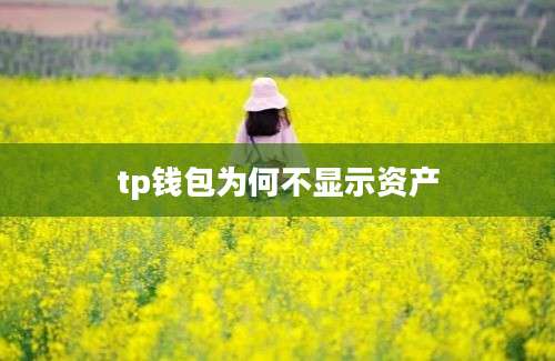 tp钱包为何不显示资产