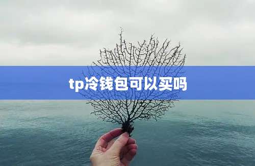 tp冷钱包可以买吗