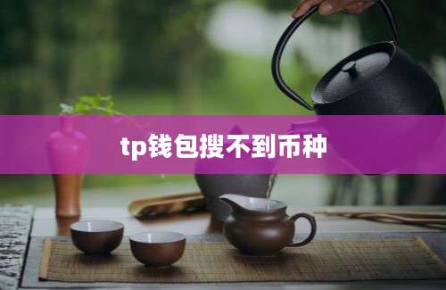 tp钱包搜不到币种