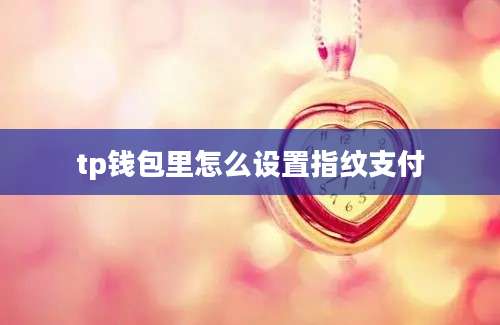tp钱包里怎么设置指纹支付