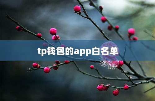 tp钱包的app白名单