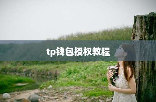 tp钱包授权教程