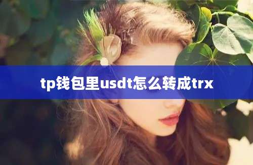 tp钱包里usdt怎么转成trx