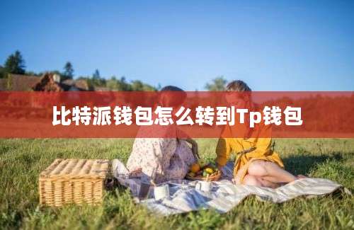 比特派钱包怎么转到Tp钱包