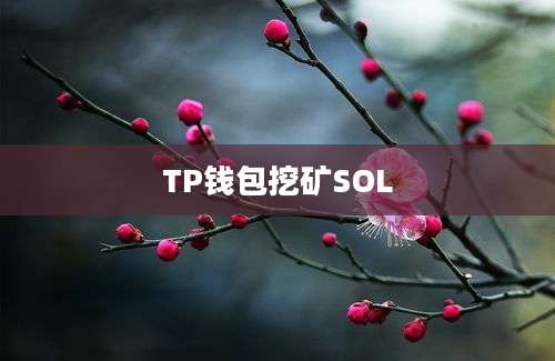 TP钱包挖矿SOL