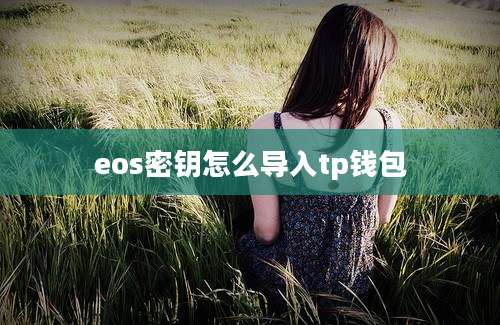 eos密钥怎么导入tp钱包
