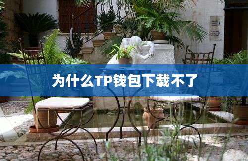 为什么TP钱包下载不了