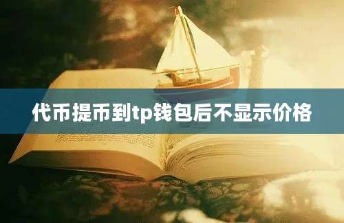 代币提币到tp钱包后不显示价格