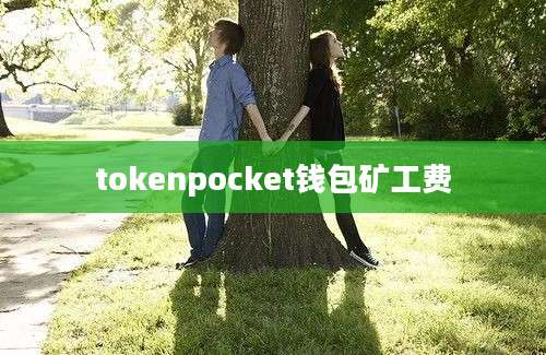 tokenpocket钱包矿工费