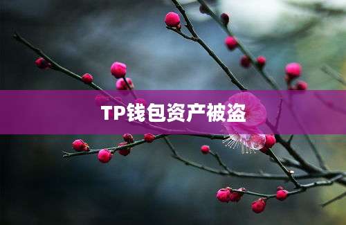 TP钱包资产被盗