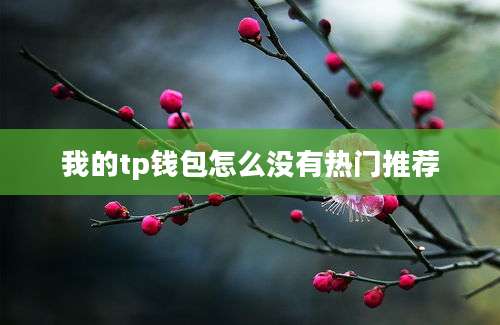 我的tp钱包怎么没有热门推荐