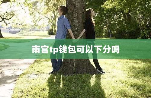 南宫tp钱包可以下分吗