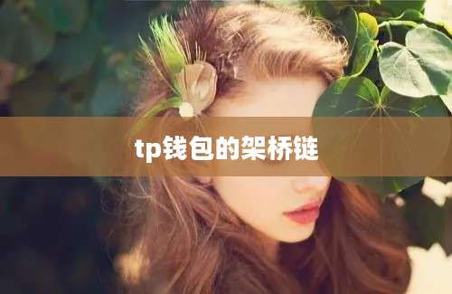 tp钱包的架桥链