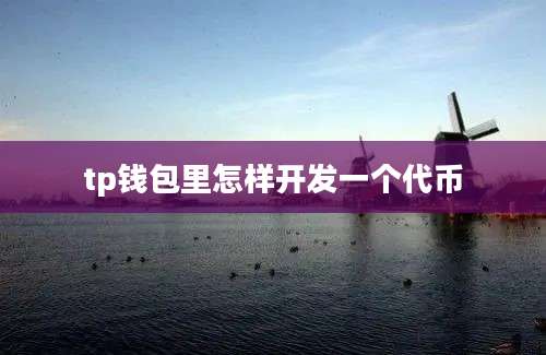 tp钱包里怎样开发一个代币