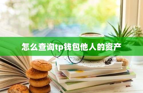 怎么查询tp钱包他人的资产