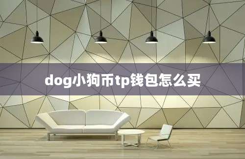 dog小狗币tp钱包怎么买