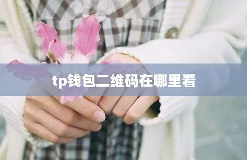 tp钱包二维码在哪里看