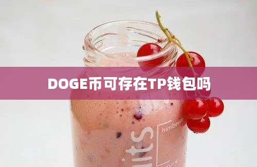 DOGE币可存在TP钱包吗
