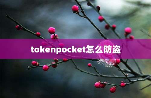 tokenpocket怎么防盗