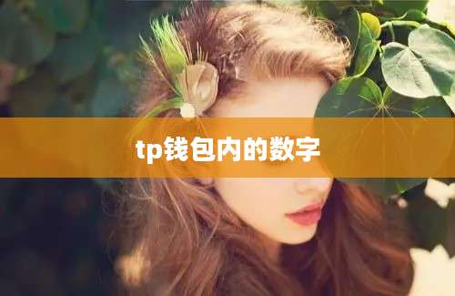 tp钱包内的数字