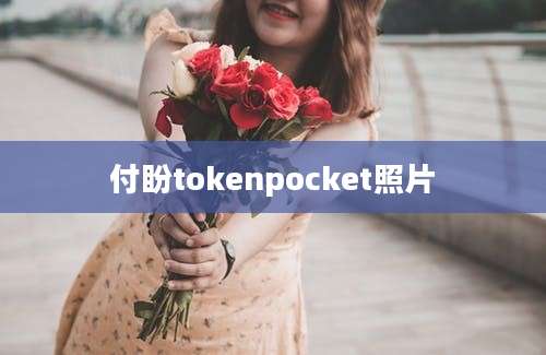 付盼tokenpocket照片