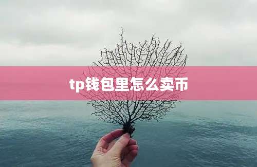 tp钱包里怎么卖币