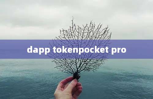dapp tokenpocket pro