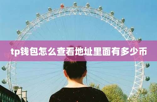 tp钱包怎么查看地址里面有多少币