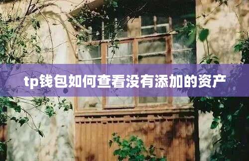 tp钱包如何查看没有添加的资产