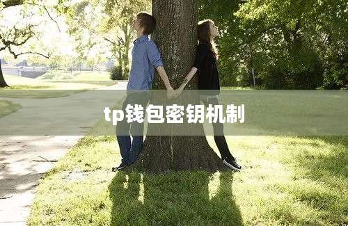 tp钱包密钥机制
