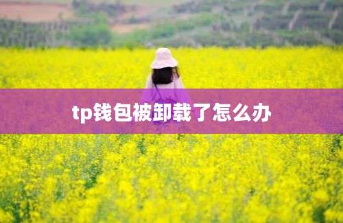 tp钱包被卸载了怎么办