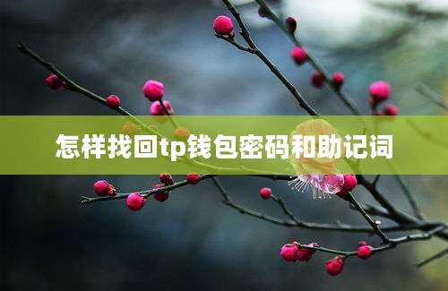 怎样找回tp钱包密码和助记词