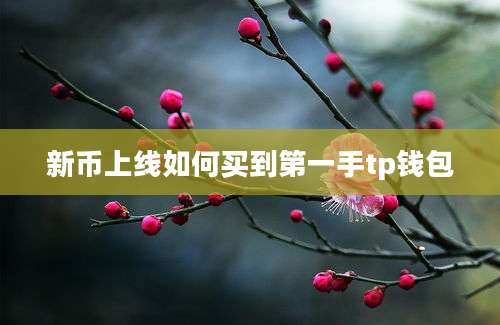 新币上线如何买到第一手tp钱包