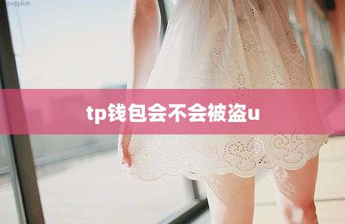 tp钱包会不会被盗u